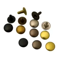 Хольнитены односторонние