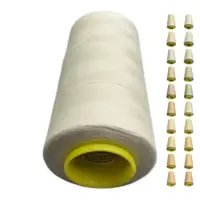 Нитки 40 2 KIWI цвет 351