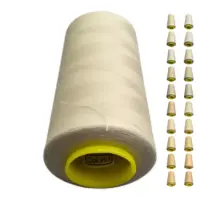 Нитки 40 2 KIWI цвет 353