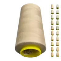 Нитки 40 2 KIWI цвет 354